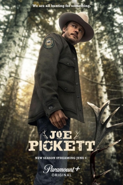 دانلود سریال Joe Pickett